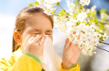 Allergie Pollen Heuschnupfen